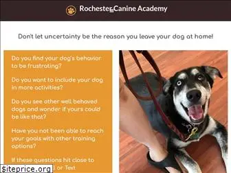 rochestercanineacademy.com