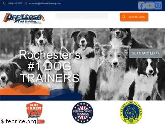 rochesterdogtrainers.com