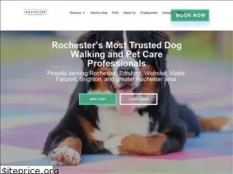 rochesterdogwalkers.com