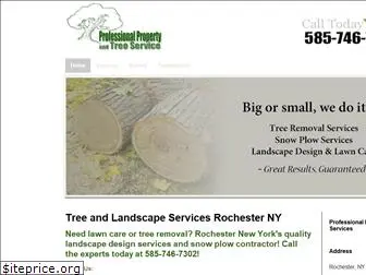 rochesternytreeremoval.com