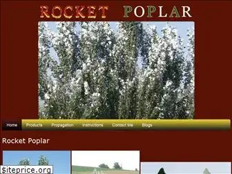 rocketpoplar.com