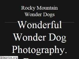 rockymountainwonderdogs.com