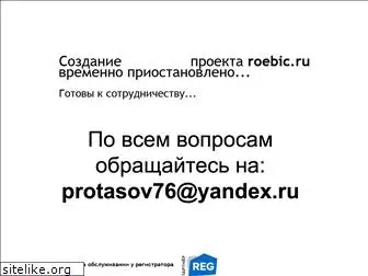 roebic.ru