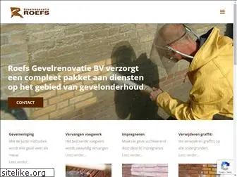 roefsgevelrenovatie.nl