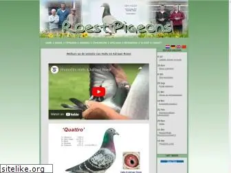 roestpigeons.com