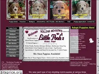rollingmeadowspuppies.com