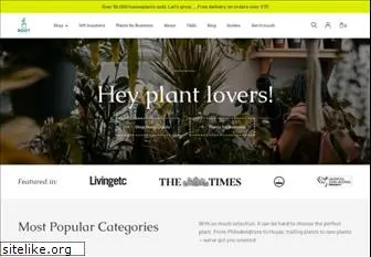 root-houseplants.com