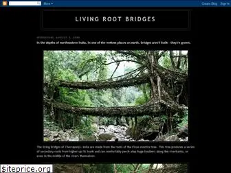 rootbridges.blogspot.com