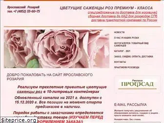 rose76.ru