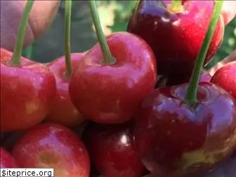 rosedalefruitfarm.com