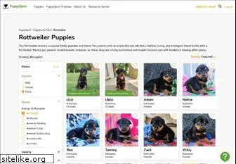 rottweilerpuppiesforsale.net