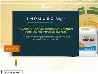 roundup.com.br