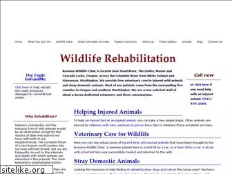 rowenawildlifeclinic.org