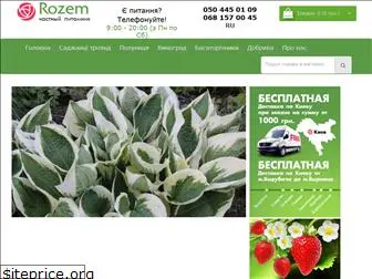 rozem.com.ua