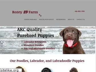 rozeyk9farm.com