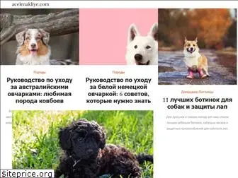ru.acelenakliye.com