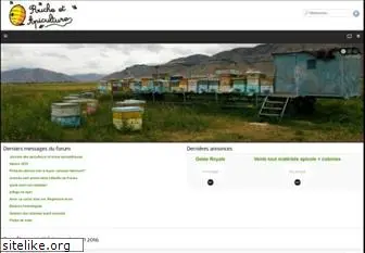 ruche-apiculture.com