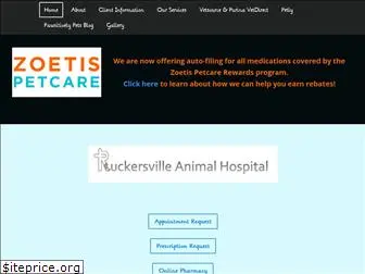 ruckersvillevet.com