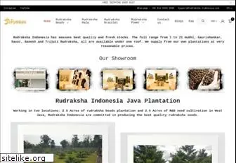 rudrakshaindonesia.com