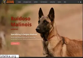 ruidosomalinois.com