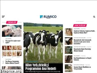 rumico.com.tr