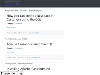 runnerdev.com