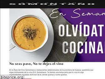 rutadelvinosomontano.com