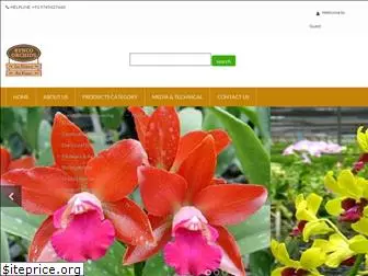 ryncoorchids.com