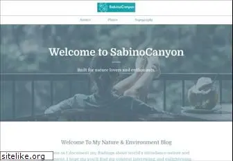 sabinocanyon.com