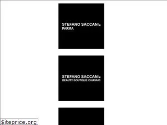 saccani.com