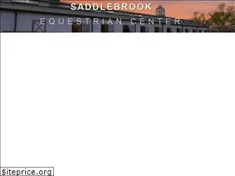 saddlebrookcenter.com