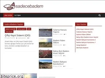 sadecebadem.com