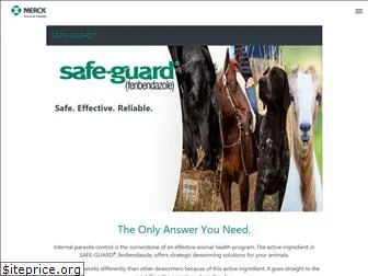 safe-guard.com