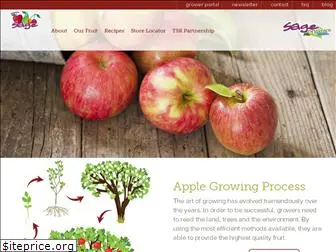 sagefruit.com