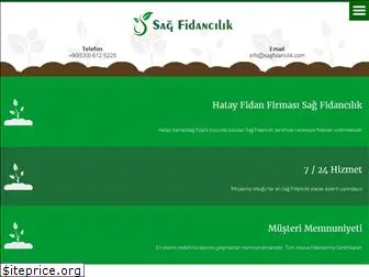 sagfidancilik.com