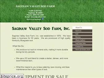 saginawvalleysod.com