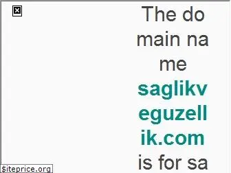 saglikveguzellik.com