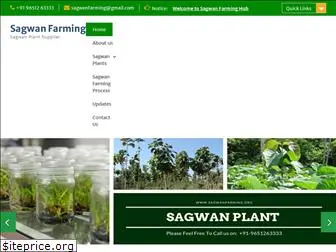 sagwanfarming.org
