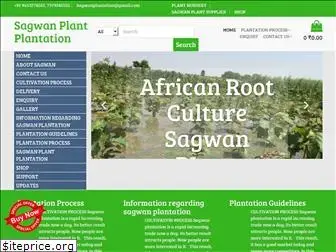 sagwanplant.com
