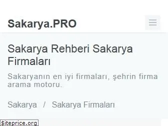 sakarya.pro