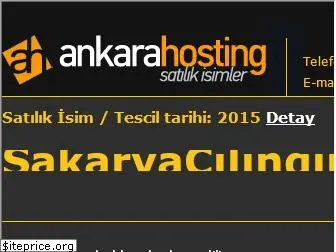 sakaryacilingir.com