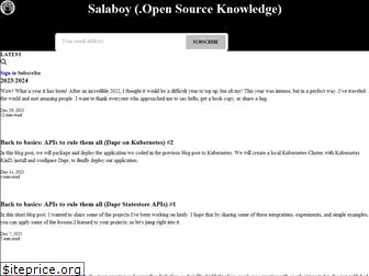 salaboy.com