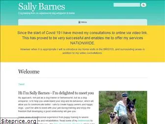 sallybarnes.com
