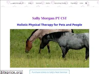 sallymorganpt.com