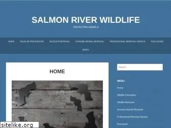 salmonriverphotos.com