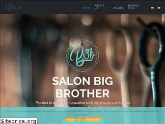 salonbigbrother.com