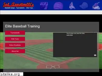 salsbaseball.com