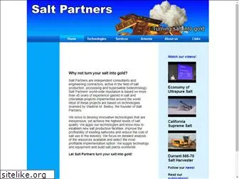 salt-partners.com