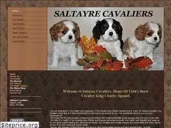 saltayrecavaliers.com