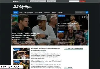 saltcityhoops.com